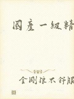 国产一级精品片