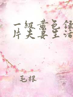 一级黄色录像影片夫妻生活影片