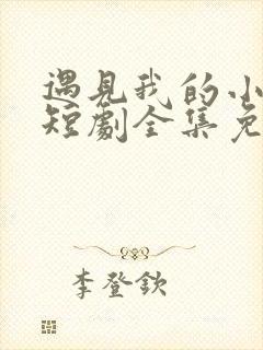 遇见我的小欢喜短剧全集免费观看