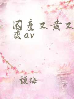 国产又黄又猛又爽av