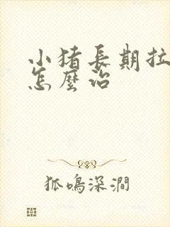 小猪长期拉稀要怎么治