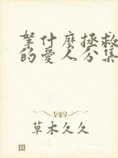 拿什么拯救你我的爱人分集剧情介绍