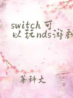 switch可以玩nds游戏吗