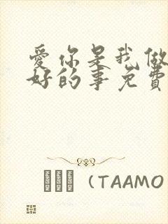 爱你是我做过最好的事免费小说