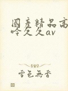 国产精品高潮呻呤久久av