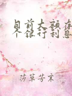 目前大额存款哪个银行利息高