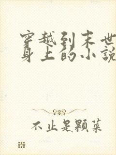 穿越到末世女配身上的小说