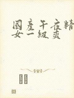 国产午夜精品男女一级爽