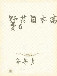 野花日本高清免费6