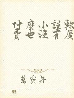 什么小说软件免费也没有广告