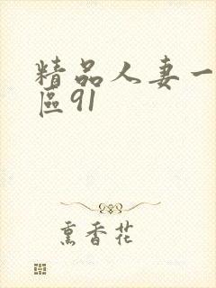精品人妻一区二区91
