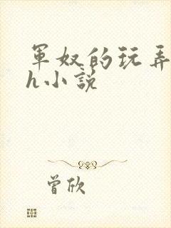 军奴的玩弄调教h小说