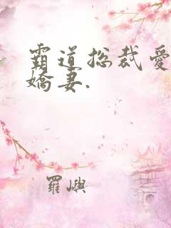 霸道总裁爱上小娇妻.