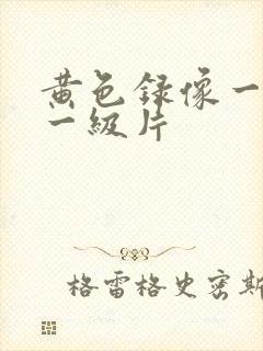 黄色录像一级片一级片