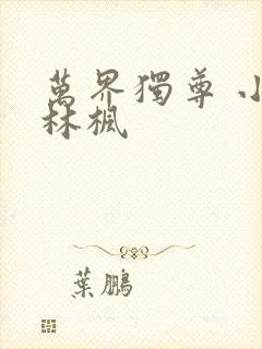 万界独尊 小说林枫