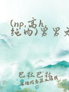(np,高h,纯肉)男男文