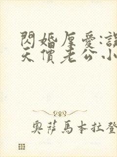 闪婚厚爱:误嫁天价老公小说