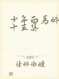 少年白马醉春风十五集