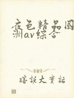 夜色精品国产亚洲av综合