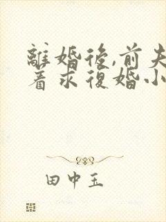 离婚后,前夫哭着求复婚小说全文阅读免费