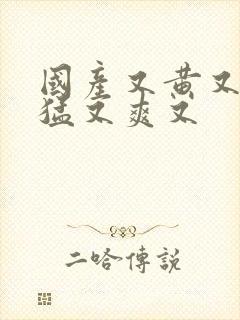 国产又黄又粗又猛又爽又