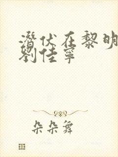 潜伏在黎明之前刘佳宁