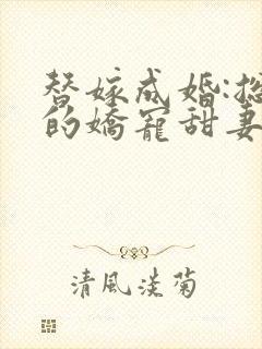 替嫁成婚:总裁的娇宠甜妻