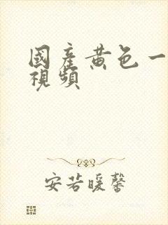 国产黄色一级片视频