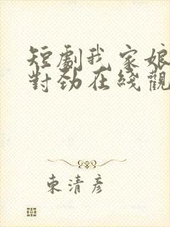 短剧我家娘子不对劲在线观看