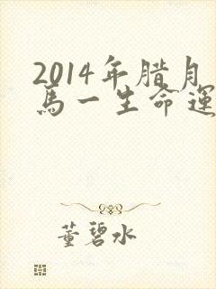 2014年腊月马一生命运如何
