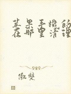 苹果手机的内存在哪里清理