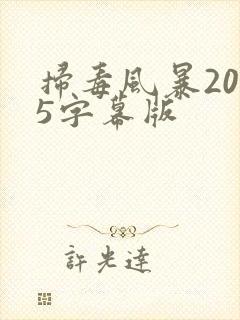 扫毒风暴2025字幕版