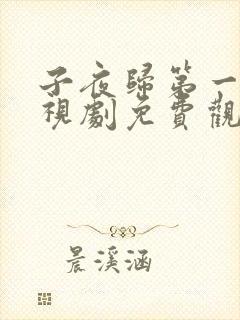 子夜归第一集电视剧免费观看全集高清