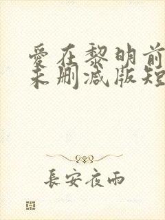 爱在黎明前升起未删减版短剧