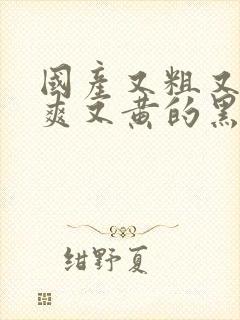 国产又粗又猛又爽又黄的黑人