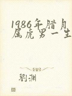 1986年腊月属虎男一生命运