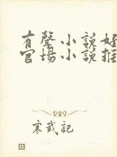 有声小说好听的官场小说推荐