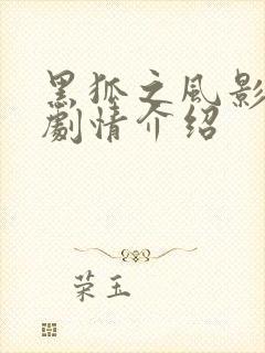 黑狐之风影分集剧情介绍