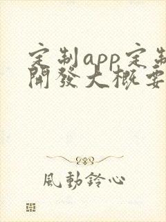 定制app定制开发大概要多少钱