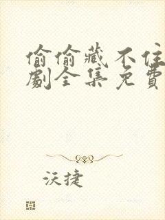 偷偷藏不住电视剧全集免费观看2023