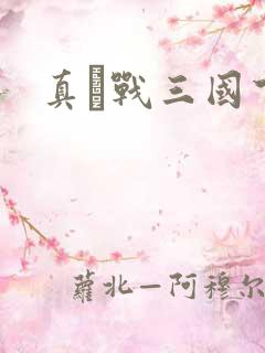 真·战三国下载