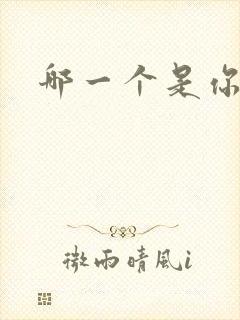 哪一个是你歌词