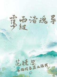 霍雨浩魂导师多少级
