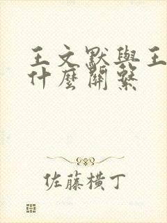 王文默与王良星什么关系