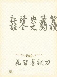 许靖央萧贺夜小说全文阅读最新章节