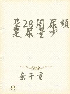 孕28周尿频但是尿量少