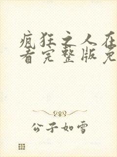 疯狂之人在线观看完整版免费高清电影