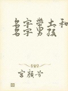 名字带土和金的名字男孩