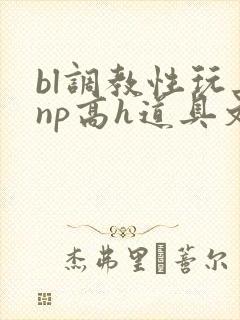 bl调教性玩具np高h道具文
