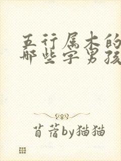 五行属木的字有哪些字男孩用